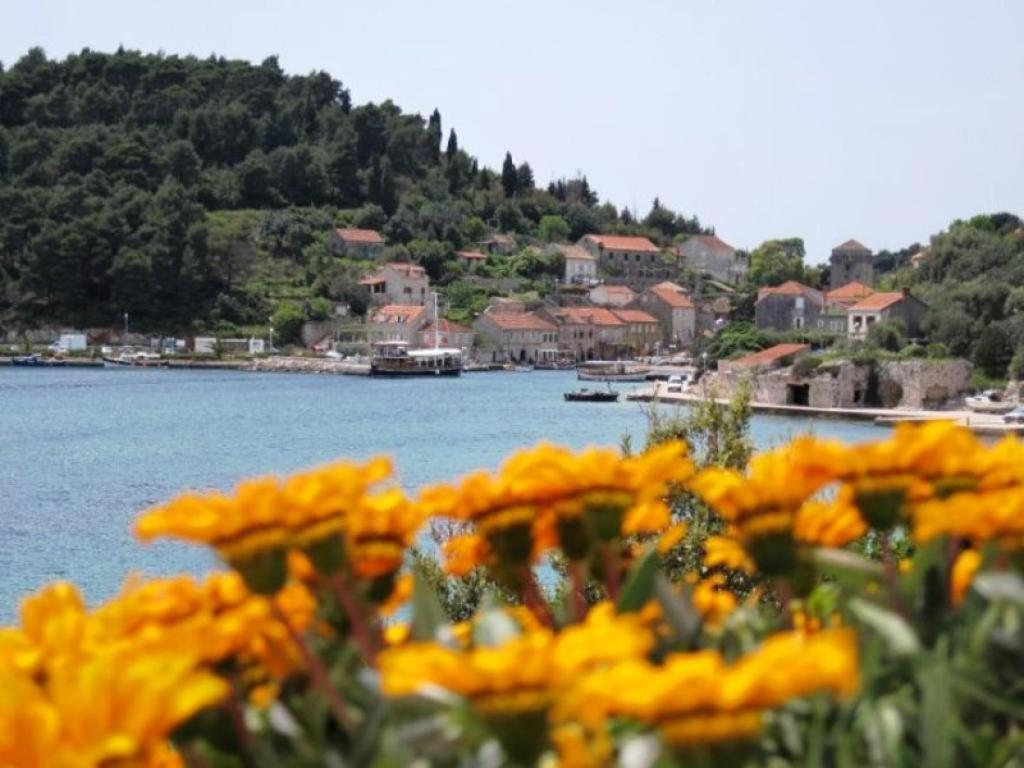 Guest House Simunovic Sudurad Dış mekan fotoğraf